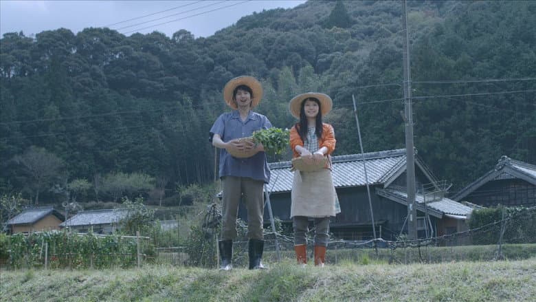 Yellow Elephant still