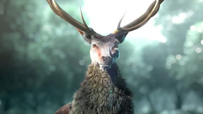 Anima still