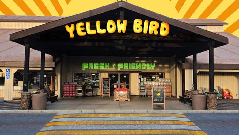 Yellow Bird still