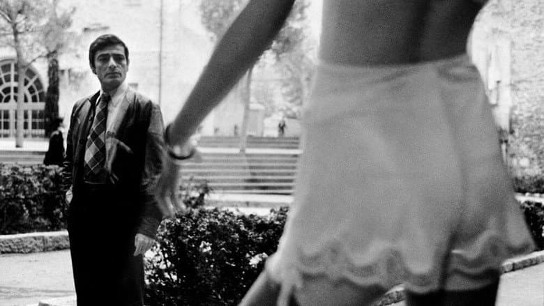 The Man Who Loved Women still