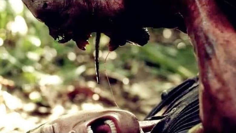 Indigenous still