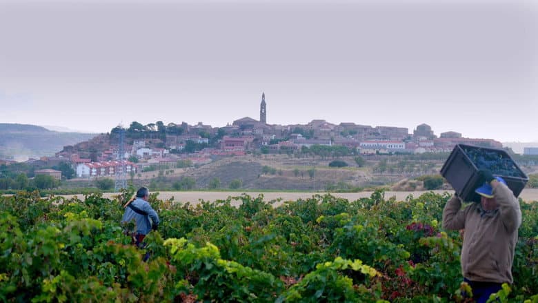 Rioja: The Land of a Thousand Wines still