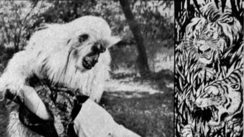 The White Gorilla still