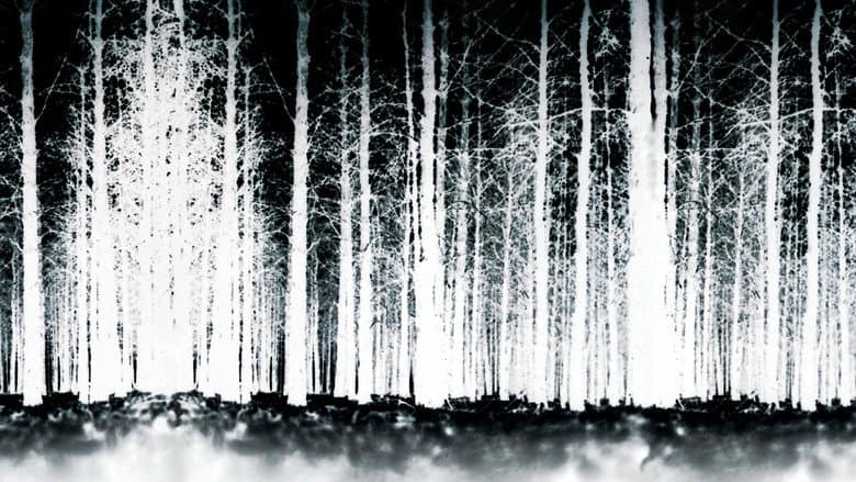 The Blair Witch Project still