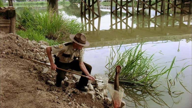 Swamp Shark still