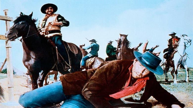 A Few Dollars for Django still