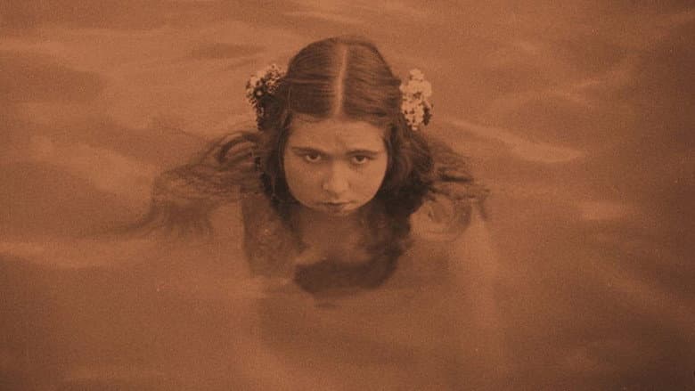 The Pleasure Garden still