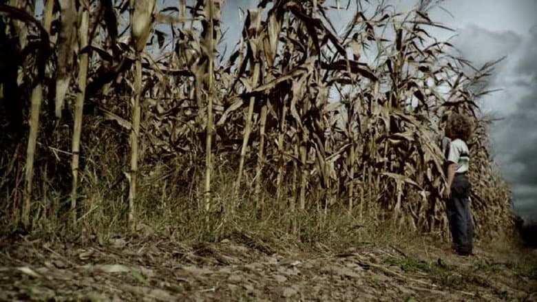The Fields still