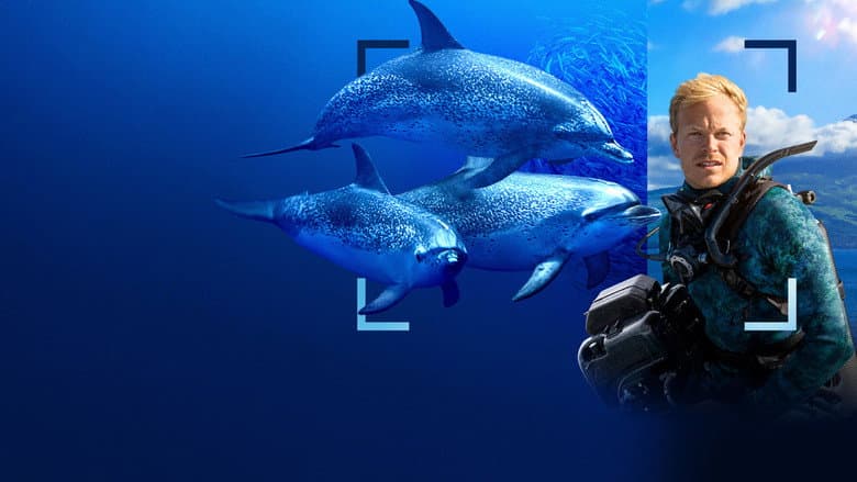 Dolphins Up Close with Bertie Gregory still