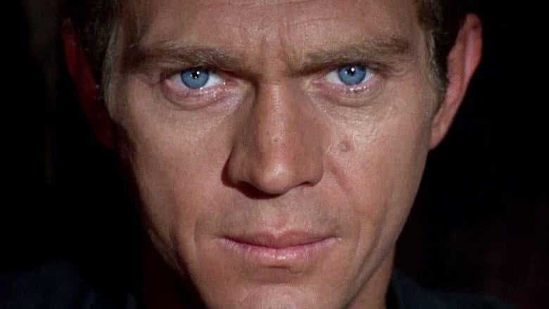 I Am Steve McQueen still