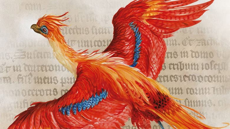 Harry Potter: A History Of Magic still