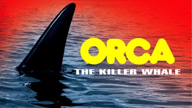 Orca still