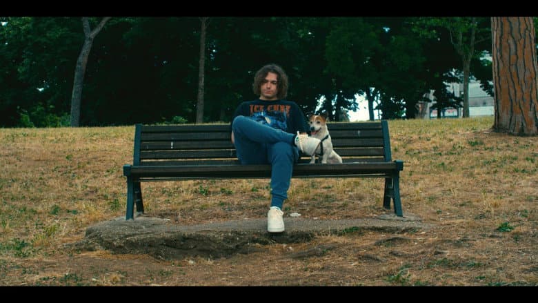 Abbaiare non è soltanto una cosa da cani. still