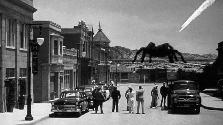 Tarantula still