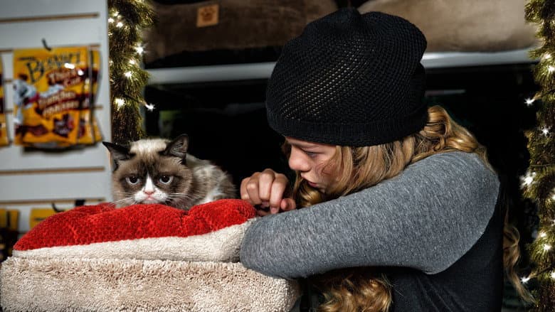 Grumpy Cat's Worst Christmas Ever still