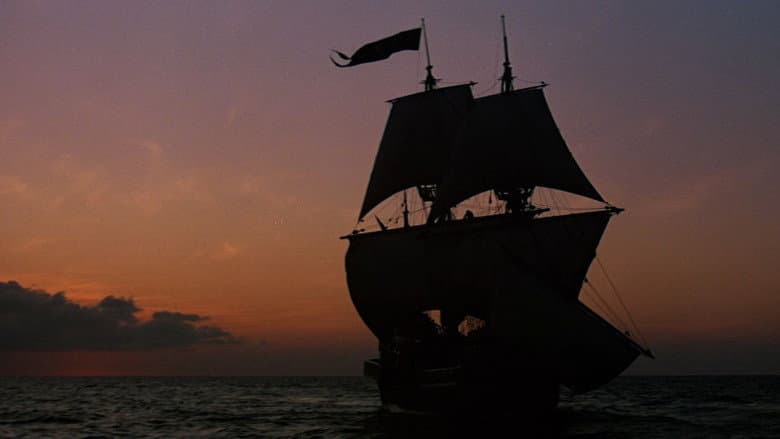 Swashbuckler still