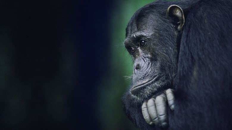 Kingdom of the Apes: Battle Lines still