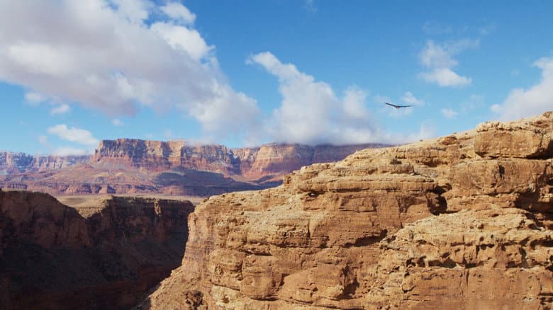 The American Southwest still