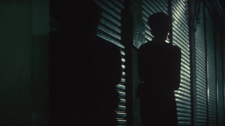 The Shape of Night still