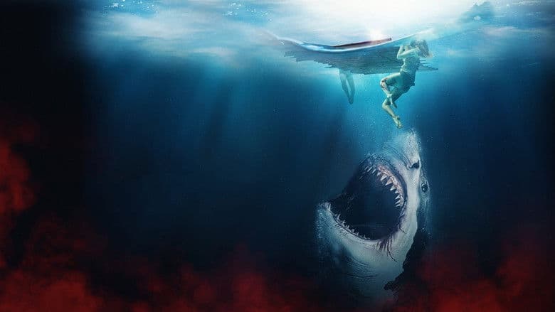 The Requin still