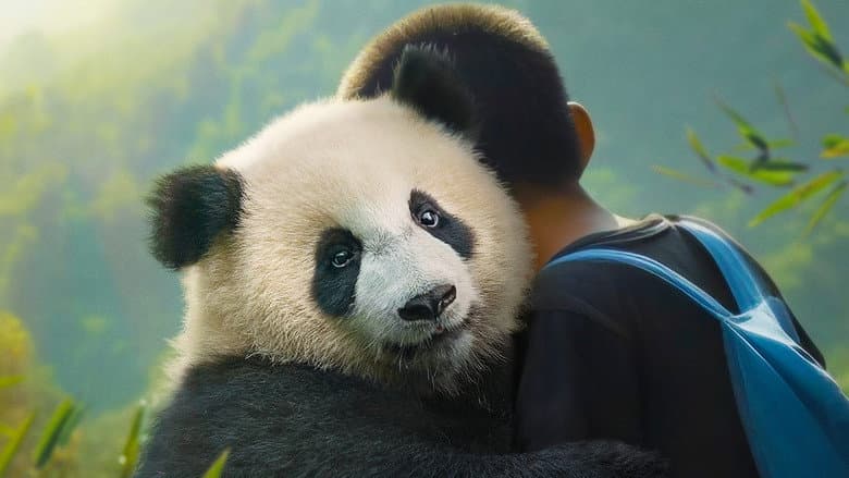 Moon the Panda still