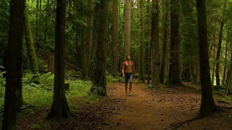 1313: Bigfoot Island still