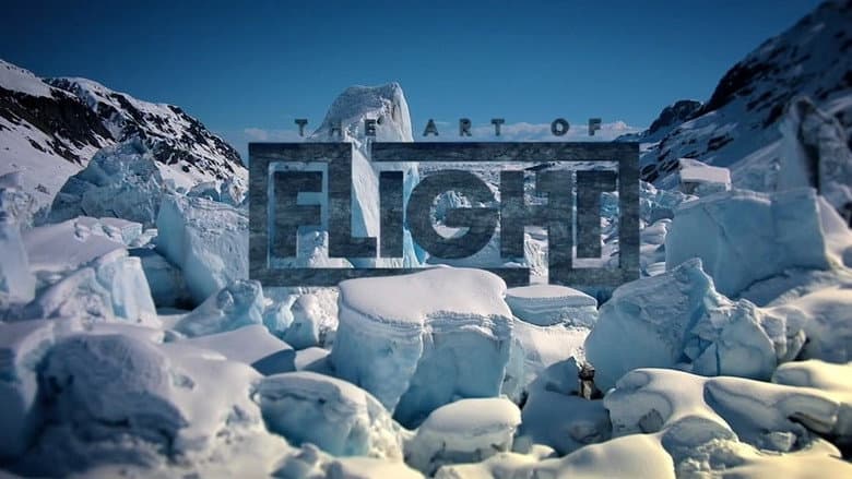 The Art of Flight still