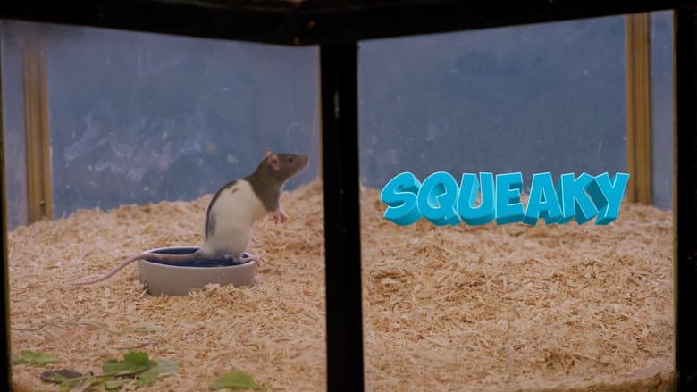 Squeaky the Rat still