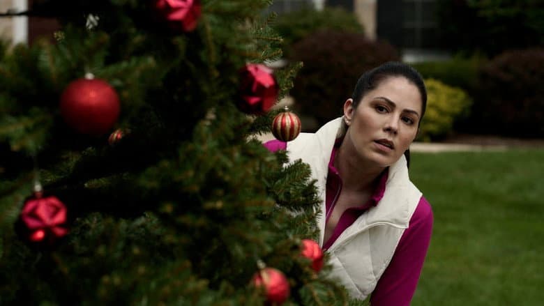 The Christmas Thief still