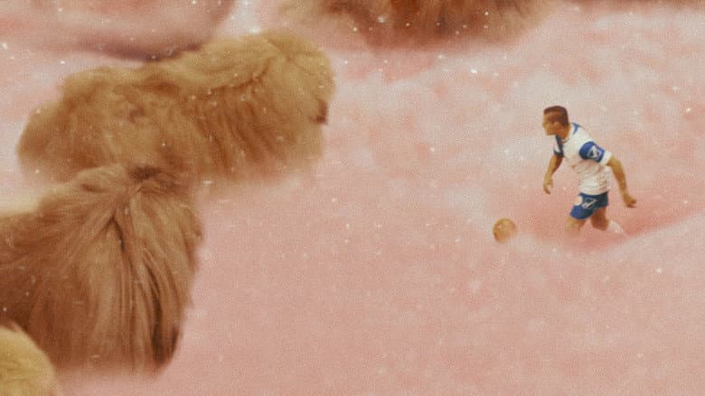Diamantino still