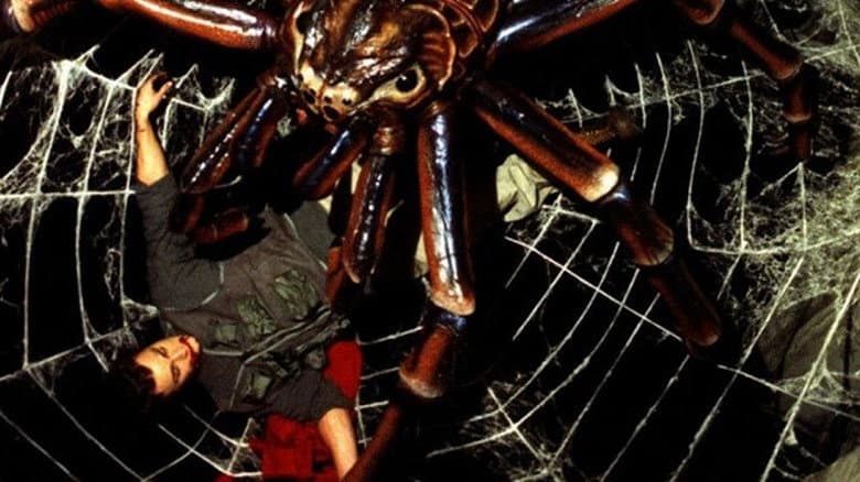 Spiders still