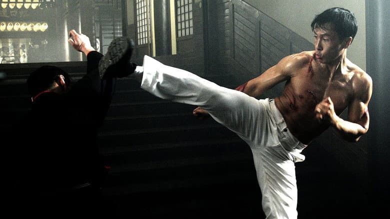 Legend of the Fist: The Return of Chen Zhen still