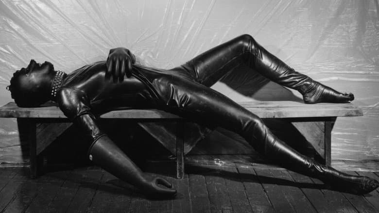 Mapplethorpe: Look at the Pictures still