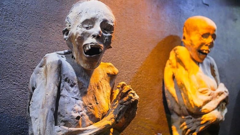 The Mummies of Guanajuato still