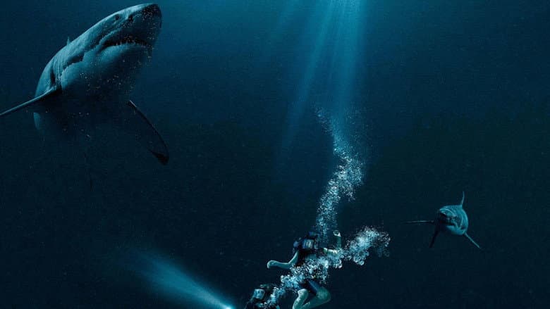47 Meters Down still