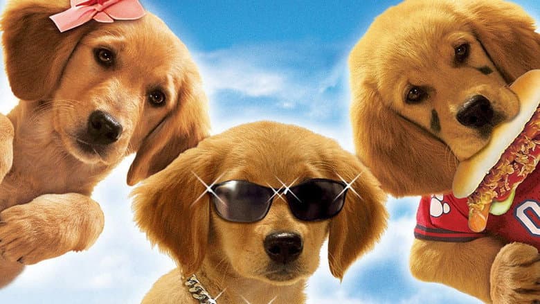 Air Buddies still