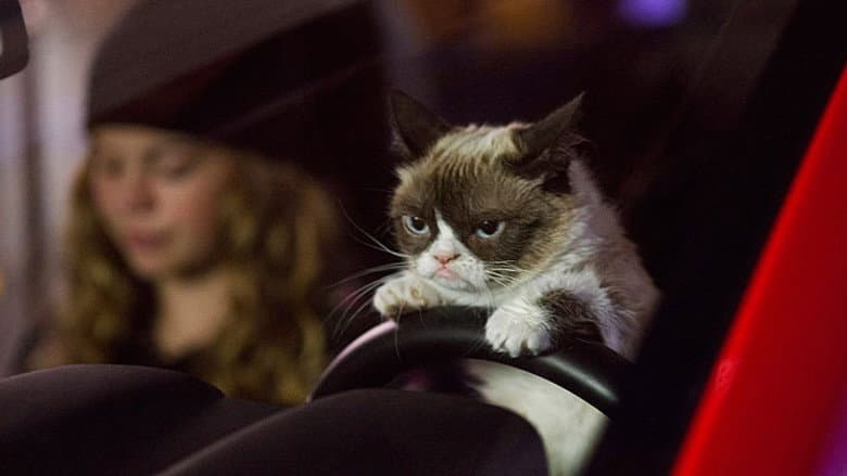 Grumpy Cat's Worst Christmas Ever still