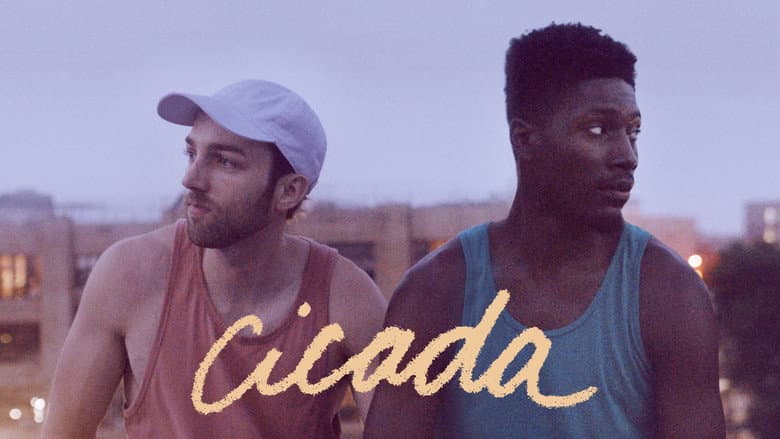 Cicada still