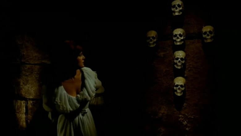 Horror Castle still