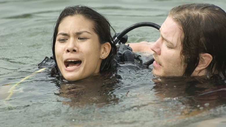 Croc still