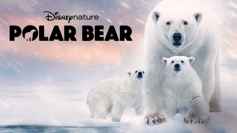 Polar Bear still