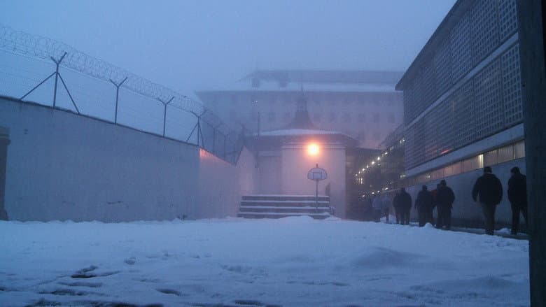 Thorberg still