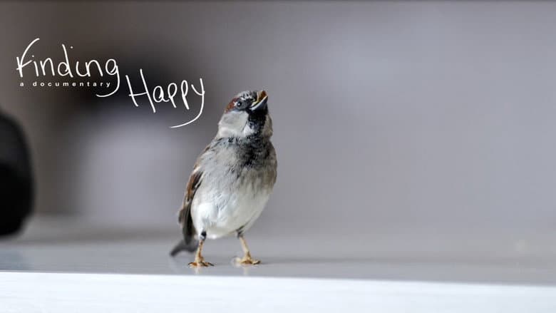 Finding Happy still