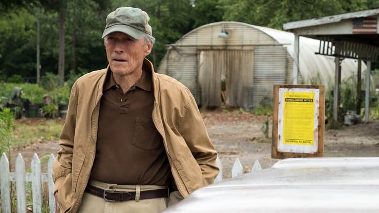 The Mule still