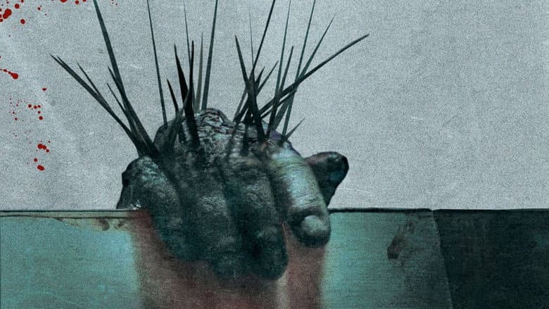Splinter still