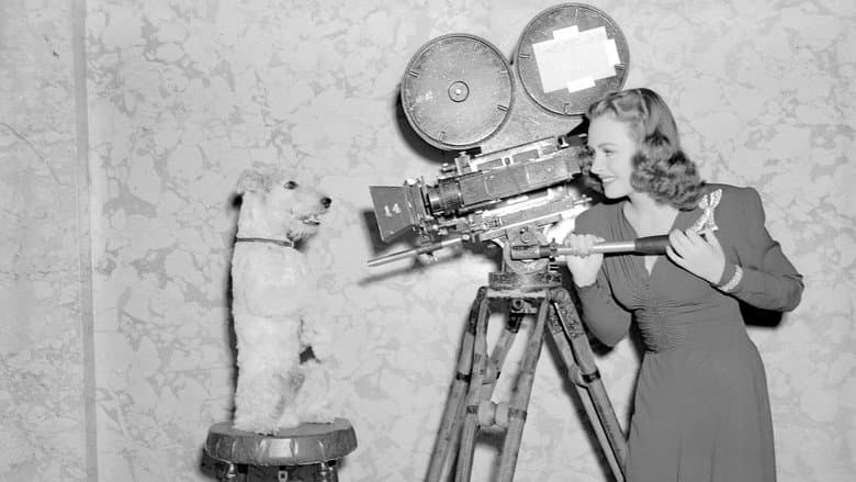 Shadow of the Thin Man still
