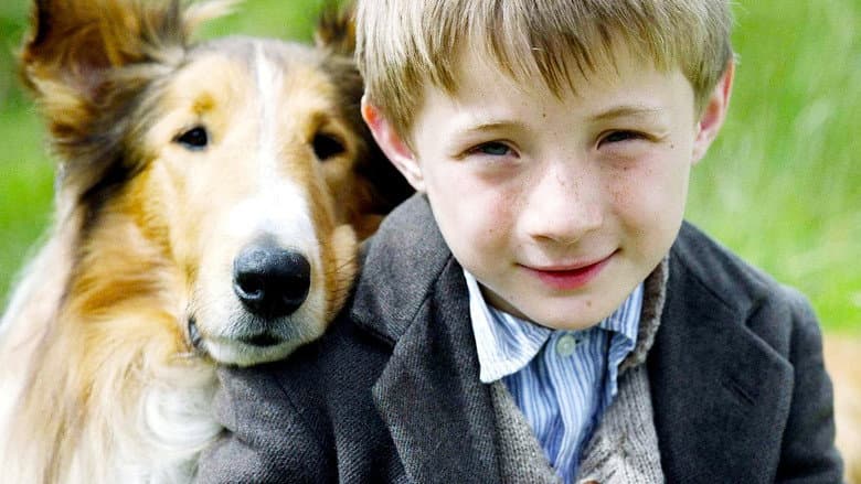 Lassie still