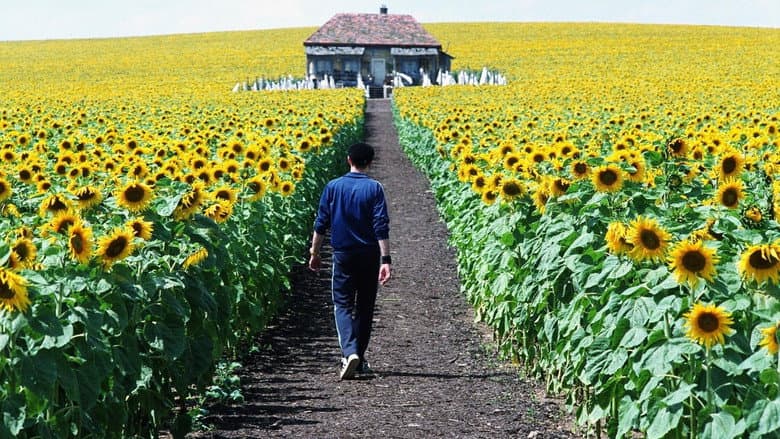 Everything Is Illuminated still