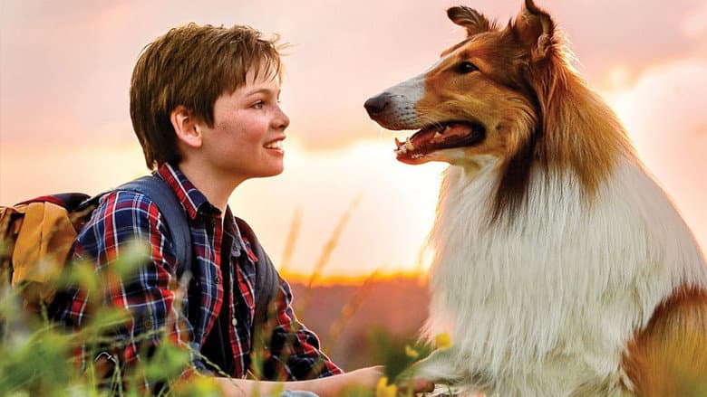 Lassie Come Home still