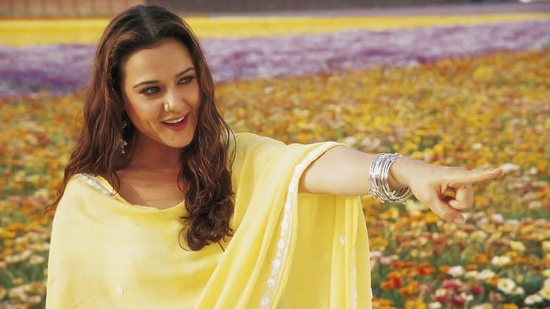 Veer-Zaara still